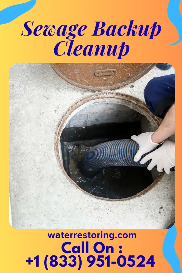 Sewage Backup Cleanup in Gleason, TN