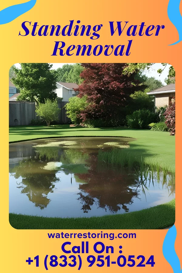 Standing Water Removal in Gleason, TN